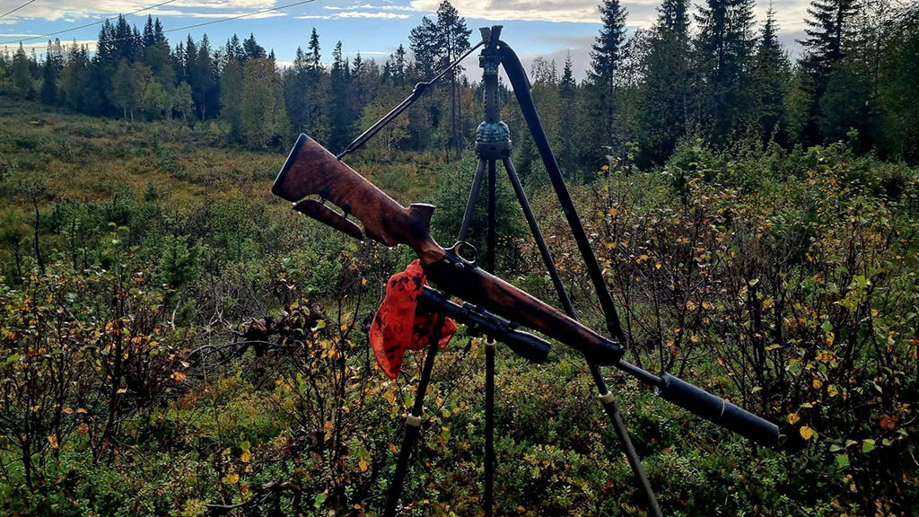 Jaktgevär placerad vid kraftledningsgata i Järpen, Åre kommun.